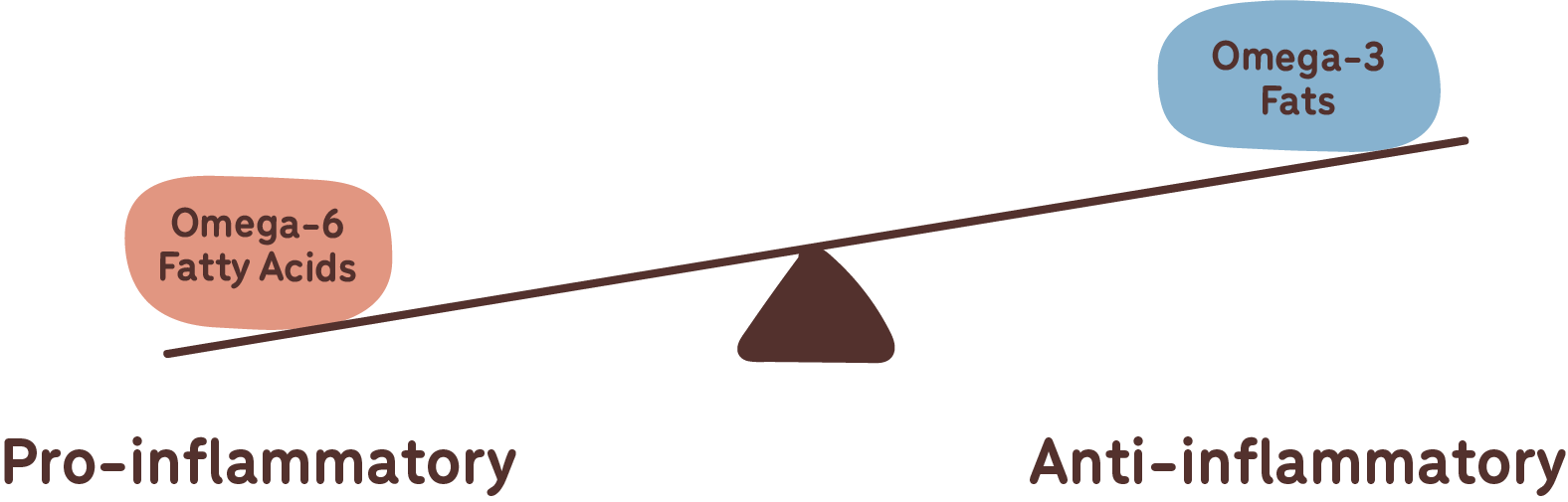 The importance of an antiinflammatory diet for dogs Guides Big Dog